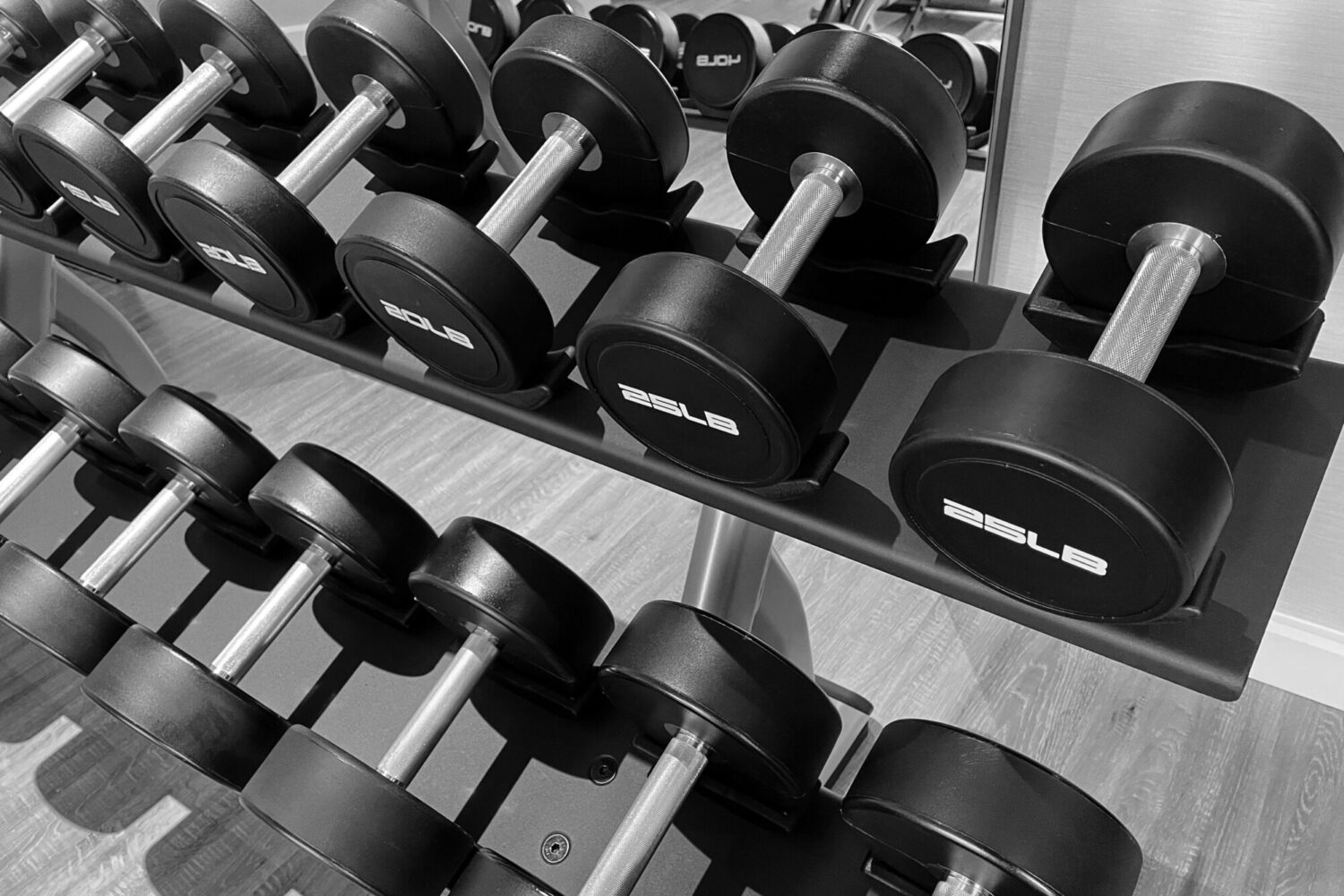 ダンベル(1kg〜22kg)